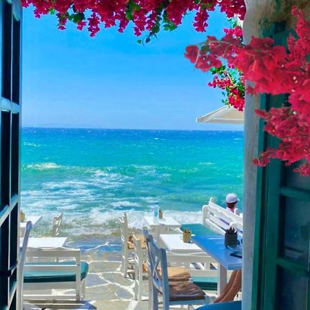 La Bouganville Lido di Ostia Zewnętrze zdjęcie