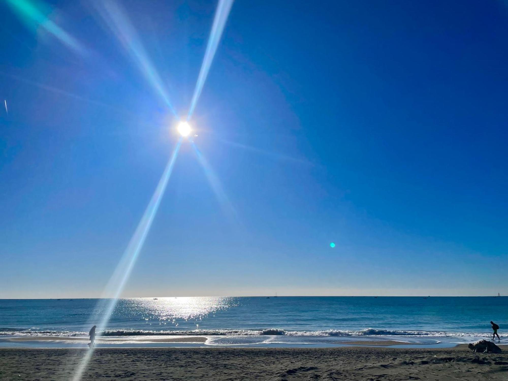 La Bouganville Lido di Ostia Zewnętrze zdjęcie
